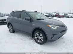 JTMRJREV6HD090644 2017 TOYOTA RAV 4