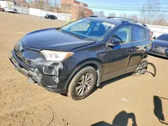 JTMRJREV6HD092460 2017 TOYOTA RAV 4