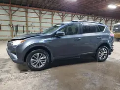 JTMRJREV6HD094189 2017 TOYOTA RAV 4