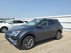 JTMRJREV6HD110360 2017 TOYOTA RAV 4