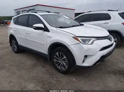 JTMRJREV6HD117695 2017 TOYOTA RAV 4