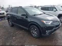 JTMRJREV6HD118958 2017 TOYOTA RAV 4