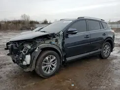 JTMRJREV6HD128552 2017 TOYOTA RAV 4