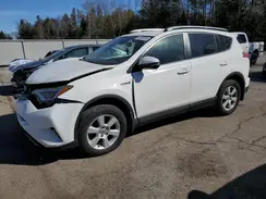 JTMRJREV6JD252598 2018 TOYOTA RAV 4