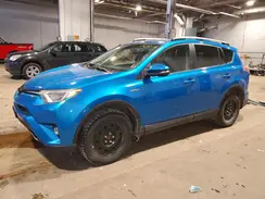 JTMRJREV7GD004563 2016 TOYOTA RAV 4