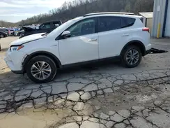 JTMRJREV7GD006281 2016 TOYOTA RAV 4