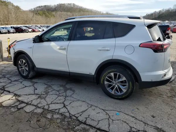 JTMRJREV7GD006281 2016 TOYOTA RAV 4 - Image 2