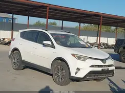 JTMRJREV7GD013537 2016 TOYOTA RAV 4