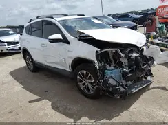 JTMRJREV7GD022190 2016 TOYOTA RAV 4