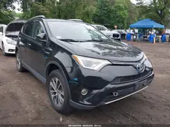 JTMRJREV7GD024165 2016 TOYOTA RAV 4