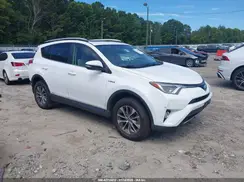 JTMRJREV7GD030659 2016 TOYOTA RAV 4