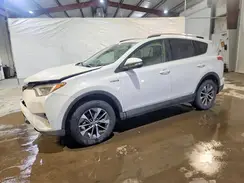 JTMRJREV7GD040897 2016 TOYOTA RAV 4