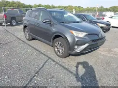 JTMRJREV7GD049938 2016 TOYOTA RAV 4
