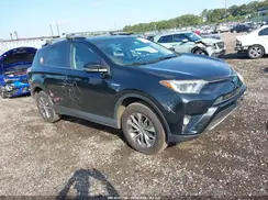 JTMRJREV7GD056498 2016 TOYOTA RAV 4
