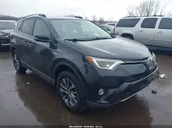 JTMRJREV7HD062397 2017 TOYOTA RAV 4