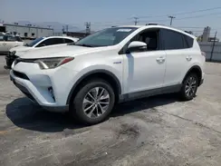 JTMRJREV7HD065719 2017 TOYOTA RAV 4