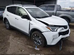 JTMRJREV7HD067728 2017 TOYOTA RAV 4