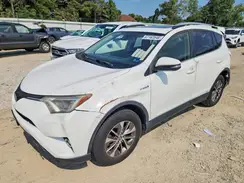 JTMRJREV7HD079572 2017 TOYOTA RAV 4