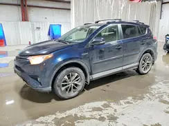 JTMRJREV7HD087199 2017 TOYOTA RAV 4