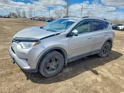 JTMRJREV7HD093553 2017 TOYOTA RAV 4
