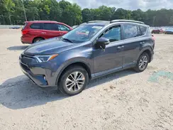 JTMRJREV7HD117365 2017 TOYOTA RAV 4
