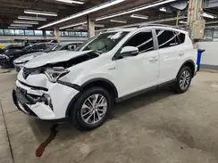 JTMRJREV7HD132884 2017 TOYOTA RAV 4