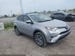 JTMRJREV7JD169262 2018 TOYOTA RAV 4