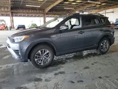 JTMRJREV7JD177667 2018 TOYOTA RAV 4
