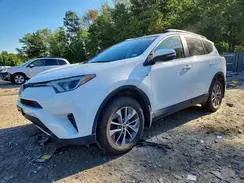 JTMRJREV7JD202261 2018 TOYOTA RAV 4