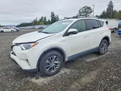 JTMRJREV7JD212983 2018 TOYOTA RAV 4