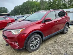 JTMRJREV7JD215172 2018 TOYOTA RAV 4