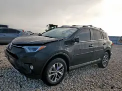 JTMRJREV8GD013238 2016 TOYOTA RAV 4