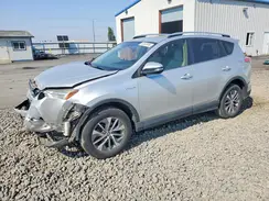JTMRJREV8GD019136 2016 TOYOTA RAV 4