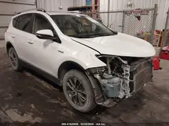JTMRJREV8GD036180 2016 TOYOTA RAV 4