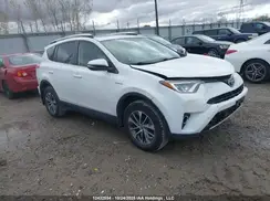JTMRJREV8GD045736 2016 TOYOTA RAV 4