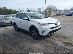 JTMRJREV8GD059118 2016 TOYOTA RAV 4