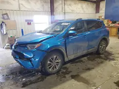 JTMRJREV8HD081704 2017 TOYOTA RAV 4