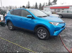 JTMRJREV8HD084599 2017 TOYOTA RAV 4