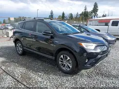 JTMRJREV8HD125524 2017 TOYOTA RAV 4