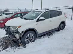 JTMRJREV8HD142159 2017 TOYOTA RAV 4