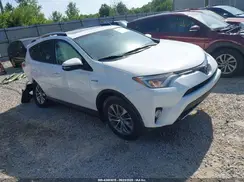 JTMRJREV8JD155841 2018 TOYOTA RAV 4