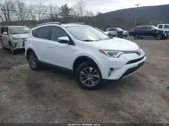 JTMRJREV9GD013779 2016 TOYOTA RAV 4