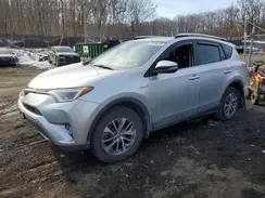 JTMRJREV9GD024314 2016 TOYOTA RAV 4