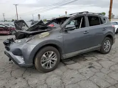 JTMRJREV9HD063664 2017 TOYOTA RAV 4