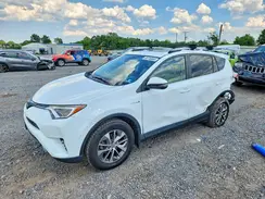 JTMRJREV9HD095420 2017 TOYOTA RAV 4