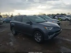 JTMRJREV9HD098236 2017 TOYOTA RAV 4