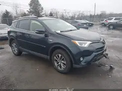 JTMRJREV9HD112877 2017 TOYOTA RAV 4