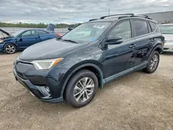 JTMRJREV9HD129999 2017 TOYOTA RAV 4