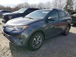 JTMRJREV9HD135012 2017 TOYOTA RAV 4