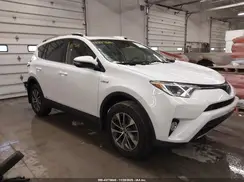 JTMRJREV9HD146639 2017 TOYOTA RAV 4